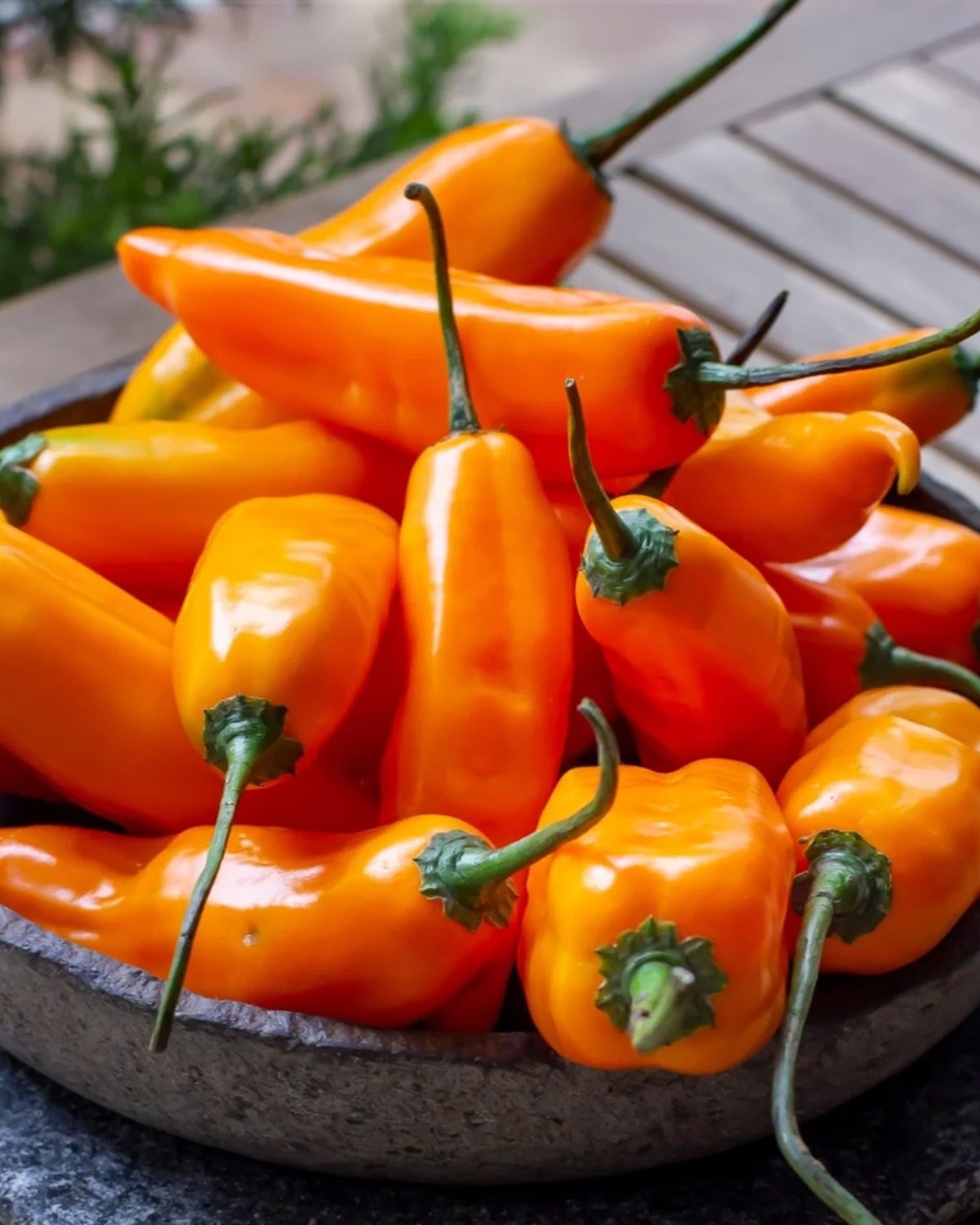 Aji