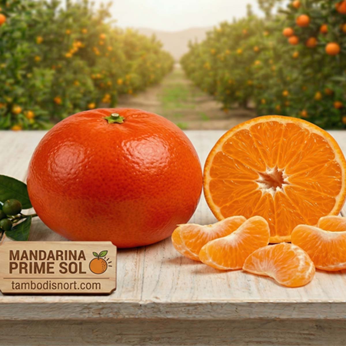 🍊