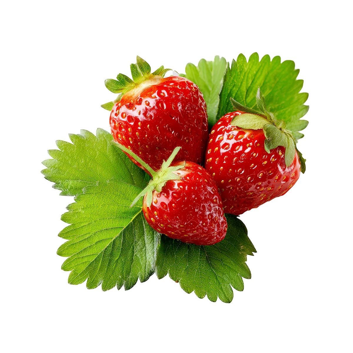 Fresa