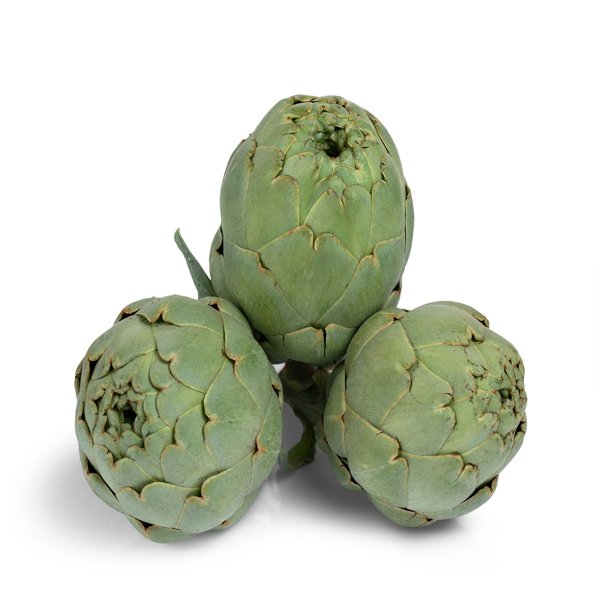 Alcachofa Peruana